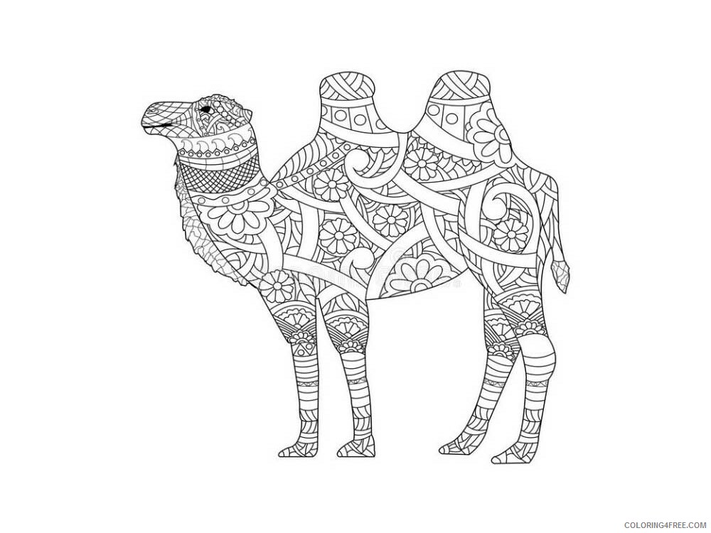 Animal Zentangle Coloring Pages zentangle camel 13 Printable 2020 223 Coloring4free