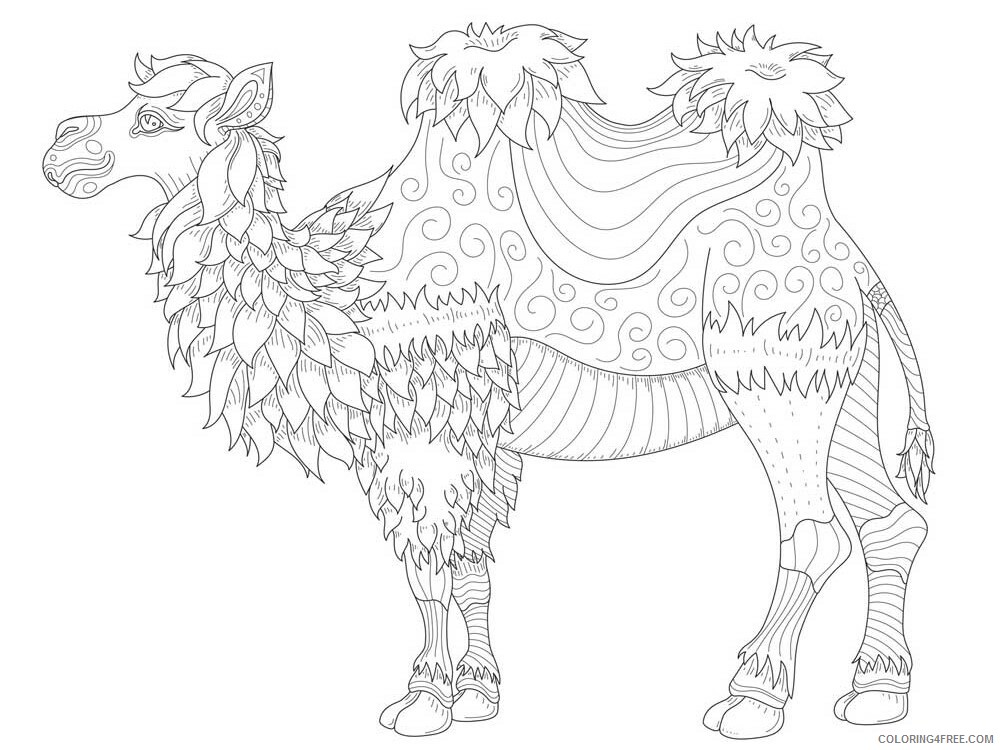 Animal Zentangle Coloring Pages zentangle camel 4 Printable 2020 226 Coloring4free
