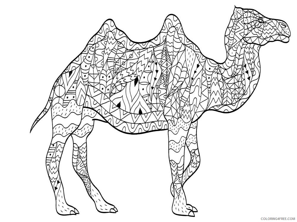 Animal Zentangle Coloring Pages zentangle camel 5 Printable 2020 227 Coloring4free