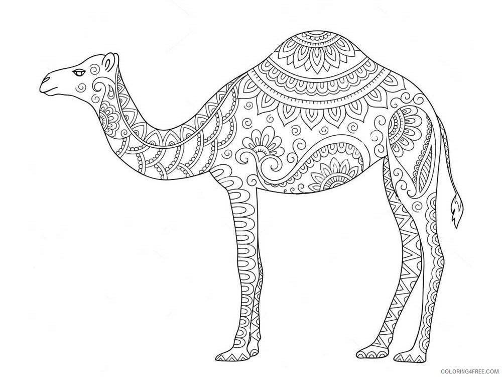 Animal Zentangle Coloring Pages zentangle camel 6 Printable 2020 228 Coloring4free