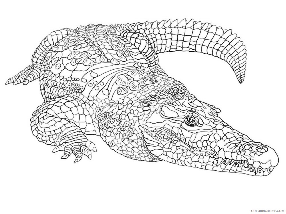 Animal Zentangle Coloring Pages zentangle crocodile 2 Printable 2020 262 Coloring4free