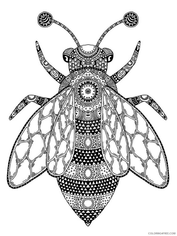 Animal Zentangle Coloring Pages zentangle fly 1 Printable 2020 337 Coloring4free