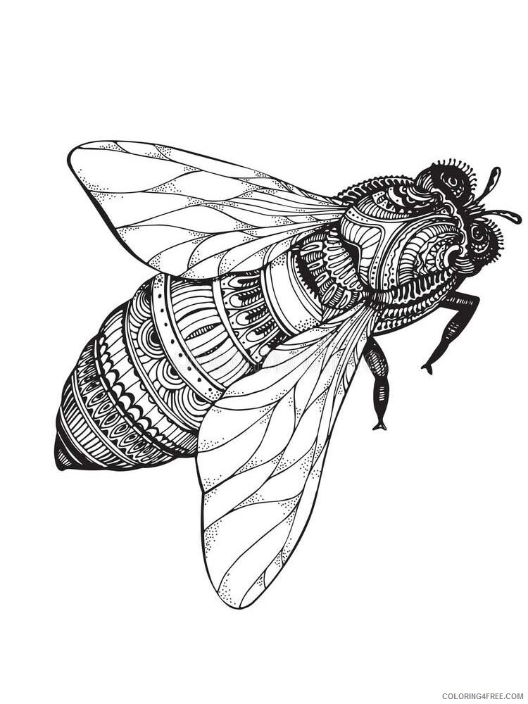 Animal Zentangle Coloring Pages zentangle fly 6 Printable 2020 340 Coloring4free