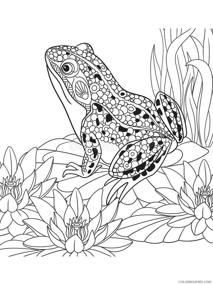 Animal Zentangle Coloring Pages zentangle frog 12 Printable 2020 355 Coloring4free