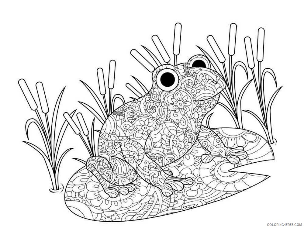 Animal Zentangle Coloring Pages zentangle frog 4 Printable 2020 359 Coloring4free