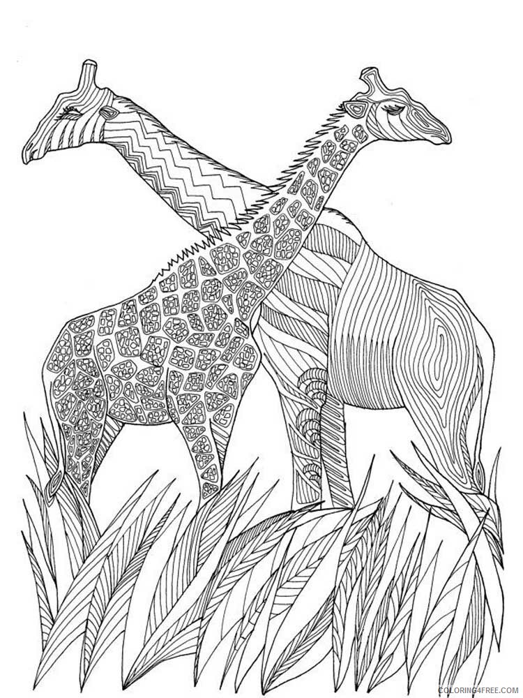 Animal Zentangle Coloring Pages zentangle giraffe 2 Printable 2020 367 Coloring4free