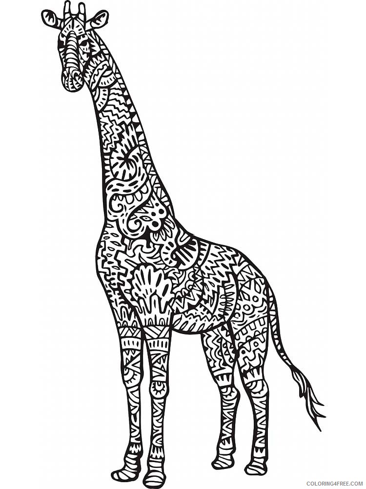 Animal Zentangle Coloring Pages zentangle giraffe 3 Printable 2020 368 Coloring4free