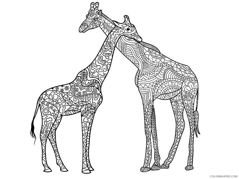 Animal Zentangle Coloring Pages zentangle giraffe 7 Printable 2020 372 Coloring4free