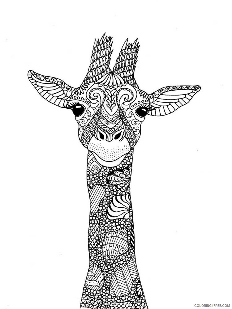 Animal Zentangle Coloring Pages zentangle giraffe 8 Printable 2020 373 Coloring4free