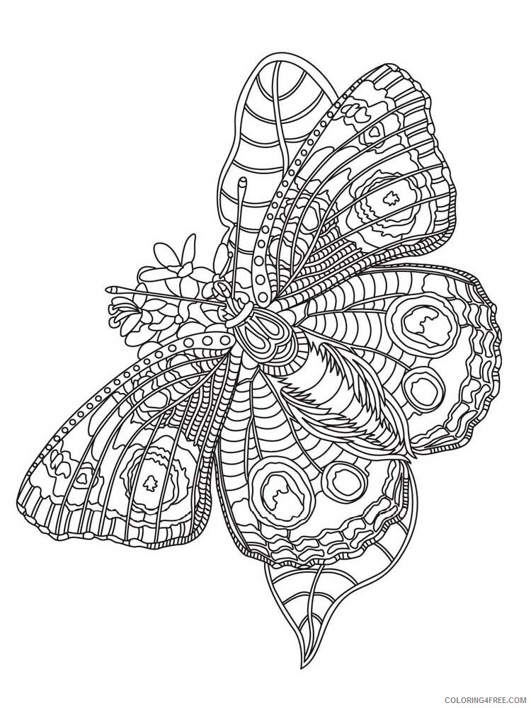 Animal Zentangle Coloring Pages zentangle insect 1 Printable 2020 384 Coloring4free