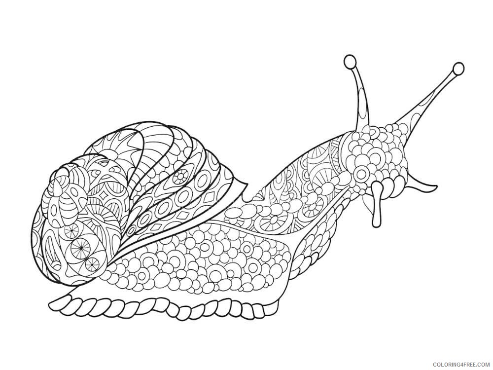Animal Zentangle Coloring Pages zentangle insect 31 Printable 2020 399 Coloring4free