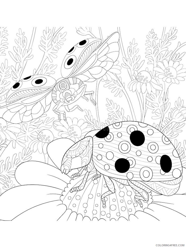 Animal Zentangle Coloring Pages zentangle insect 32 Printable 2020 400 Coloring4free