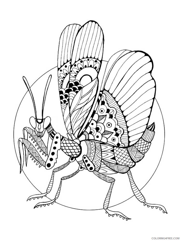 Animal Zentangle Coloring Pages zentangle insect 33 Printable 2020 401 Coloring4free