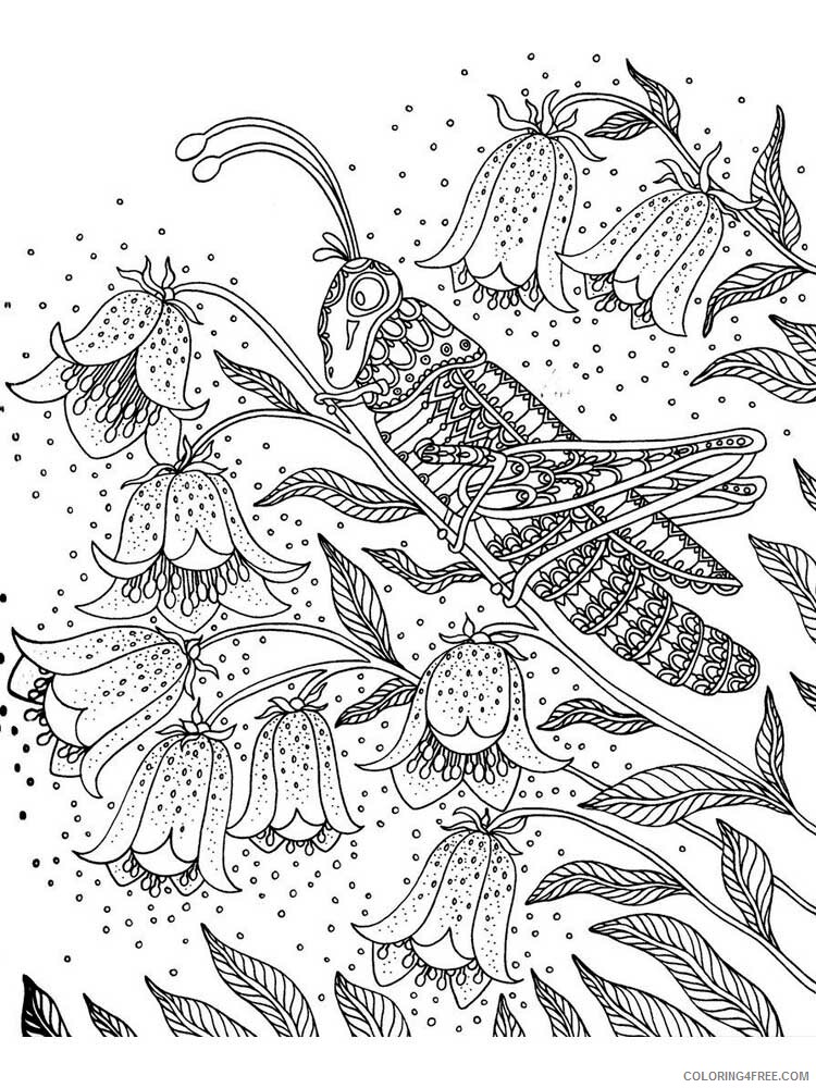 Animal Zentangle Coloring Pages zentangle insect 5 Printable 2020 402 Coloring4free