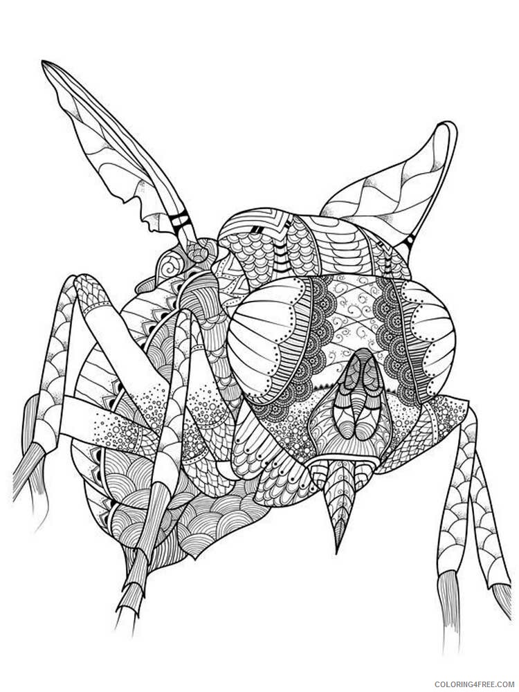 Animal Zentangle Coloring Pages zentangle insect 7 Printable 2020 404 Coloring4free