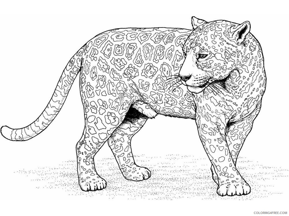 Animal Zentangle Coloring Pages zentangle leopard 4 Printable 2020 439 Coloring4free