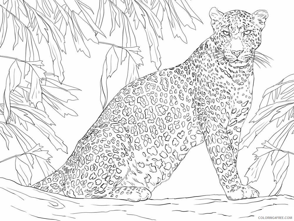 Animal Zentangle Coloring Pages zentangle leopard 5 Printable 2020 440 Coloring4free