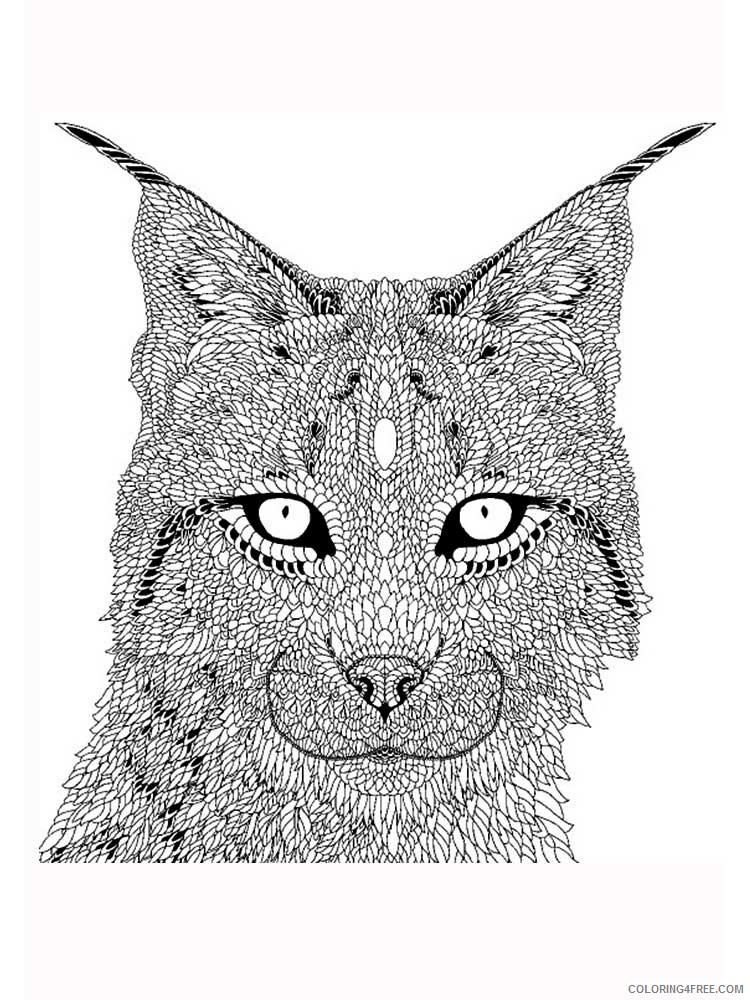Animal Zentangle Coloring Pages zentangle lynx 6 Printable 2020 454 Coloring4free