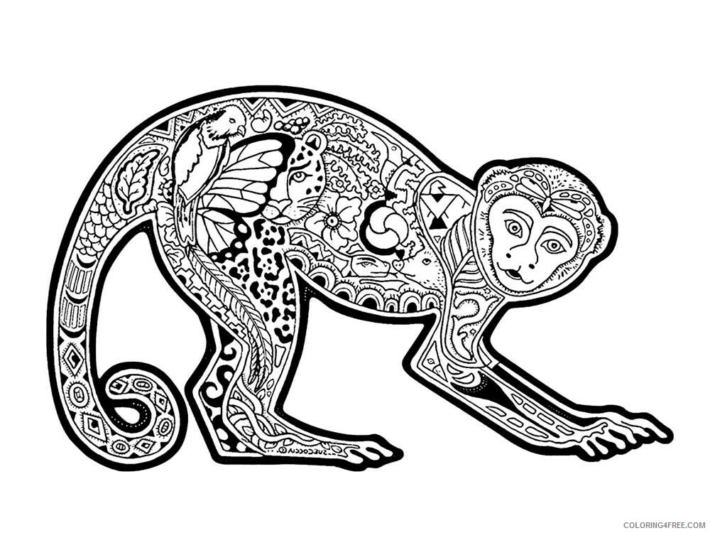 Animal Zentangle Coloring Pages zentangle monkey 9 Printable 2020 467 Coloring4free