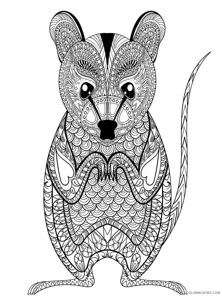 Animal Zentangle Coloring Pages zentangle mouse 1 Printable 2020 468 Coloring4free