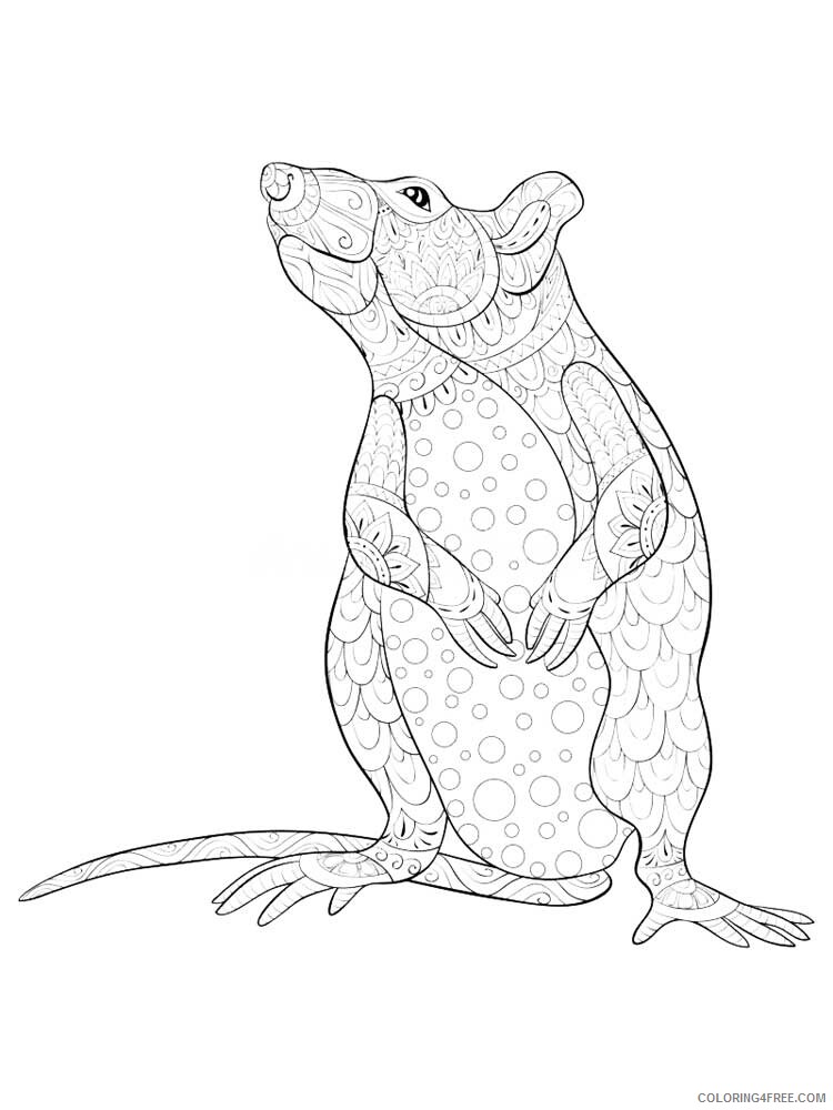 Animal Zentangle Coloring Pages zentangle mouse 12 Printable 2020 471 Coloring4free