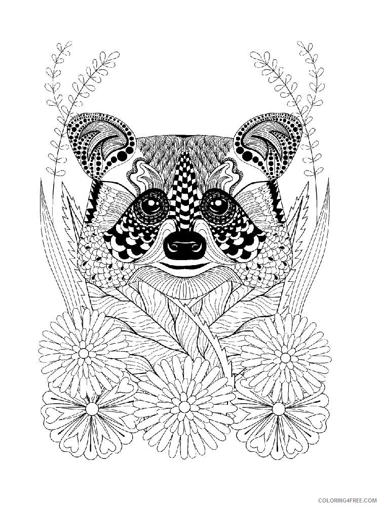 Animal Zentangle Coloring Pages zentangle raccoon 4 Printable 2020 516 Coloring4free