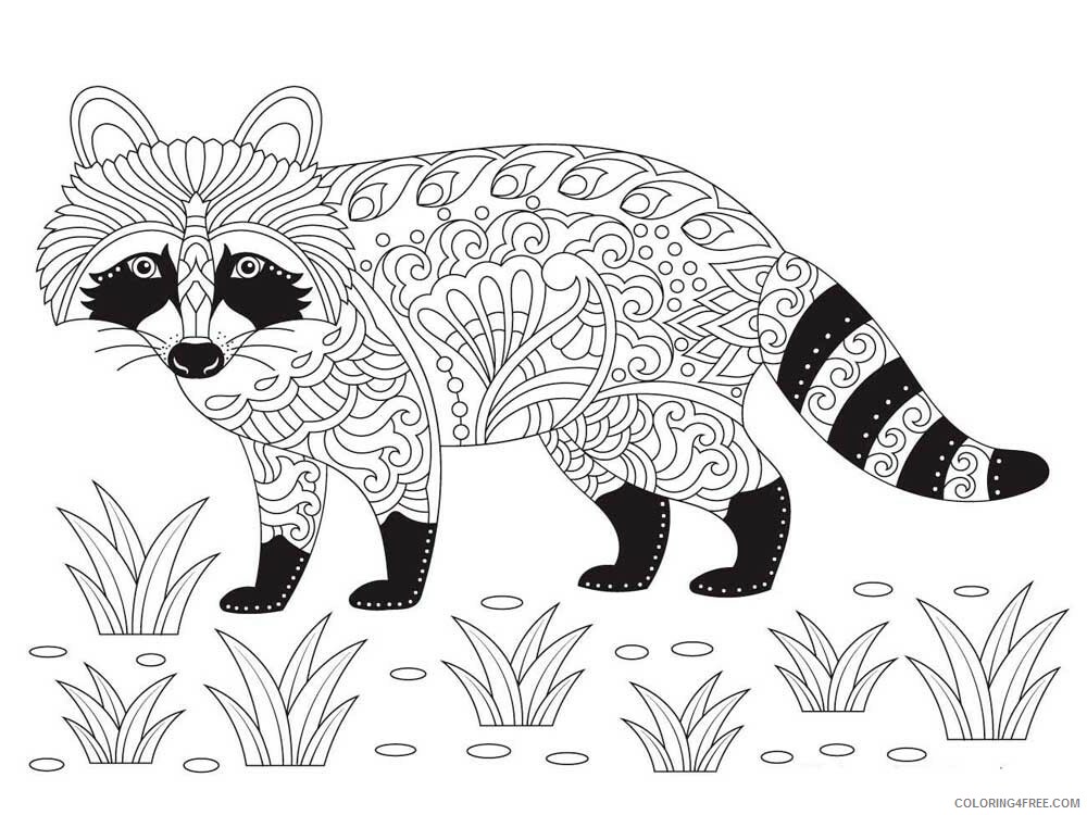 Animal Zentangle Coloring Pages zentangle raccoon 6 Printable 2020 518 Coloring4free
