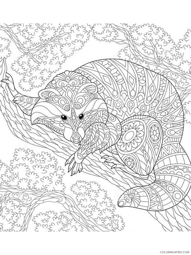 Animal Zentangle Coloring Pages zentangle raccoon 7 Printable 2020 519 Coloring4free