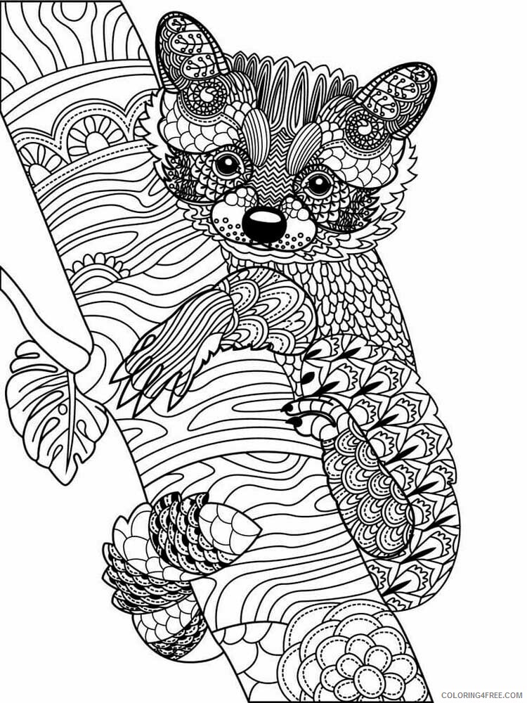 Animal Zentangle Coloring Pages zentangle raccoon 8 Printable 2020 520 Coloring4free