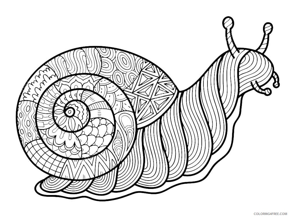 Animal Zentangle Coloring Pages zentangle snail 1 Printable 2020 558 Coloring4free