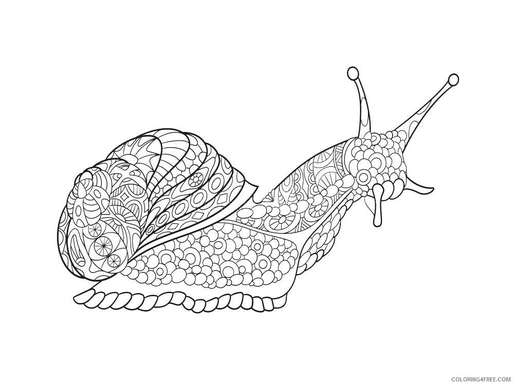 Animal Zentangle Coloring Pages zentangle snail 11 Printable 2020 560 Coloring4free