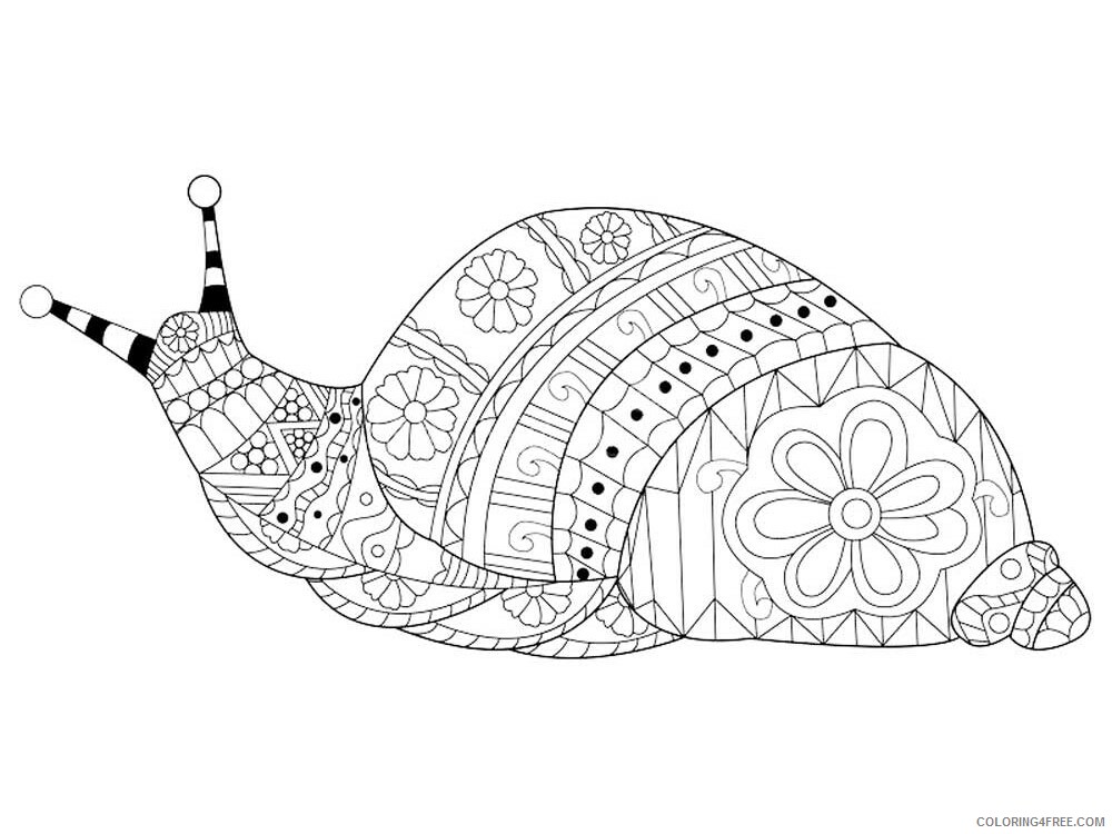 Animal Zentangle Coloring Pages zentangle snail 3 Printable 2020 562 Coloring4free