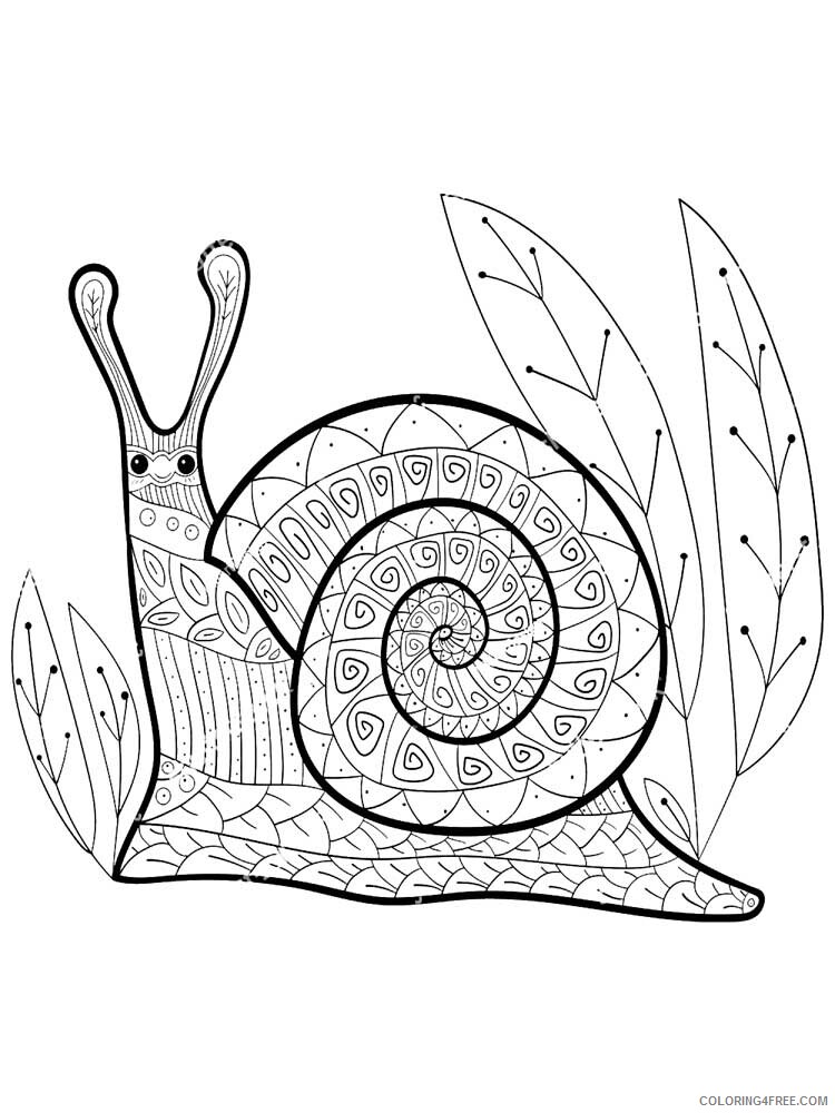 Animal Zentangle Coloring Pages zentangle snail 4 Printable 2020 563 Coloring4free