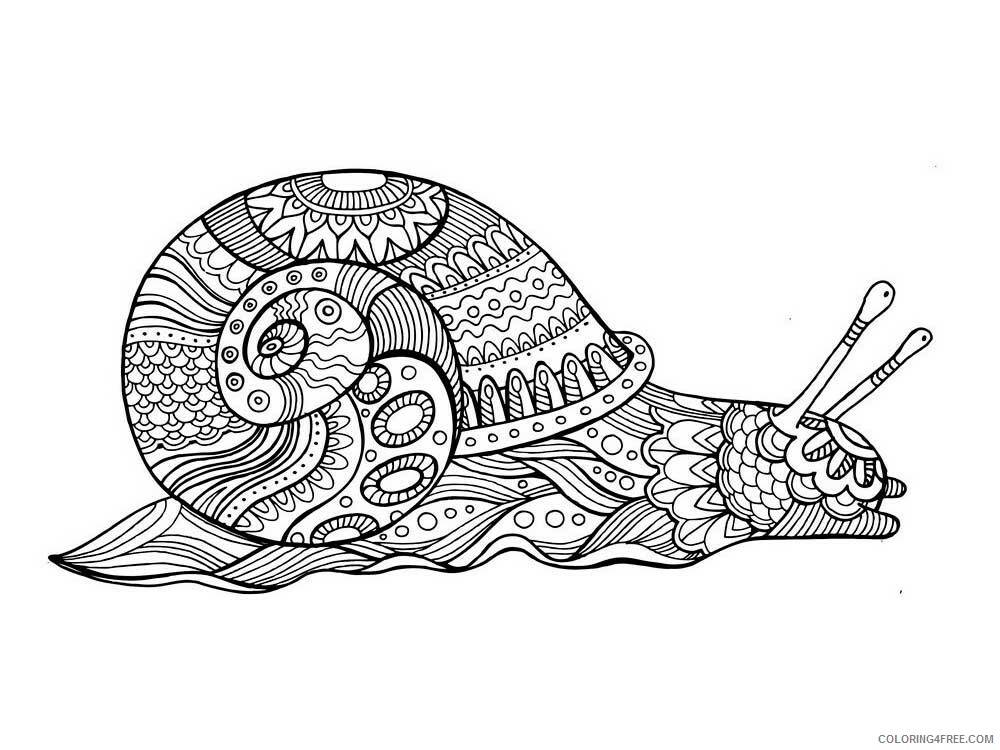 Animal Zentangle Coloring Pages zentangle snail 5 Printable 2020 564 Coloring4free