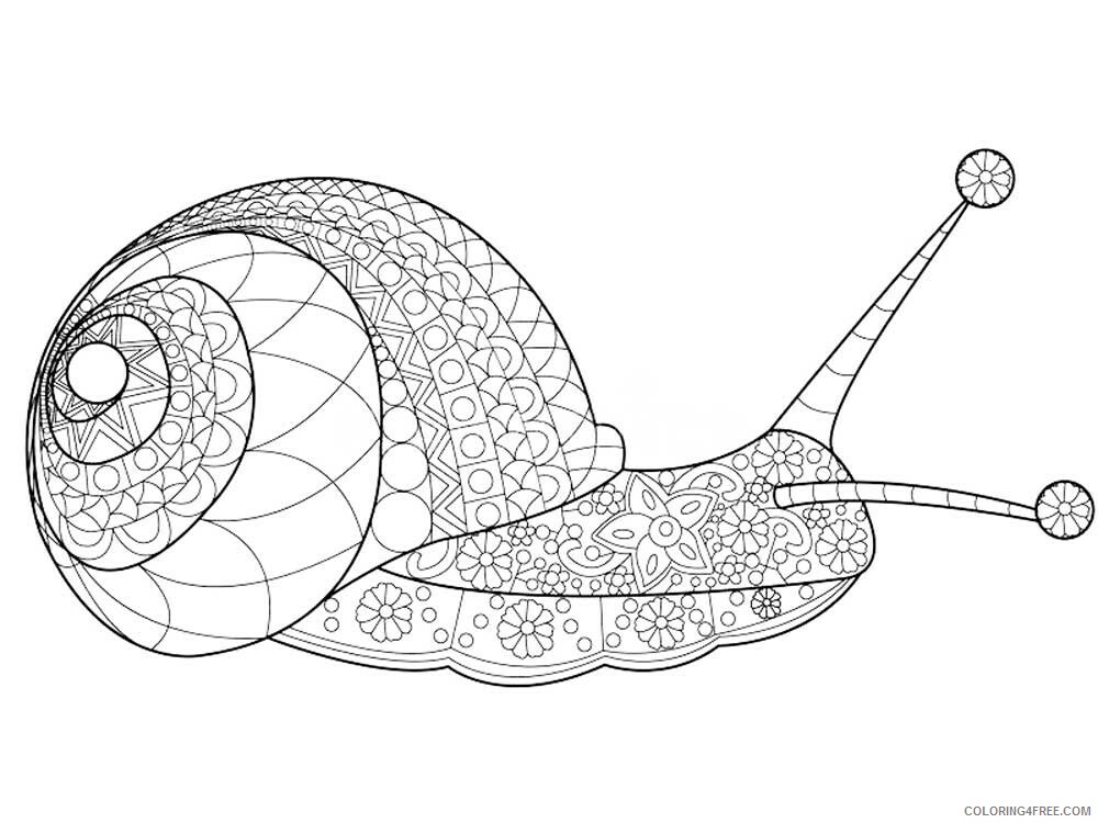 Animal Zentangle Coloring Pages zentangle snail 6 Printable 2020 565 Coloring4free