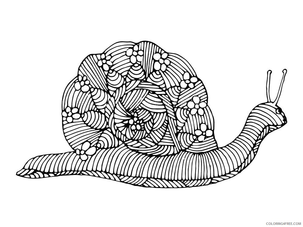 Animal Zentangle Coloring Pages zentangle snail 7 Printable 2020 566 Coloring4free