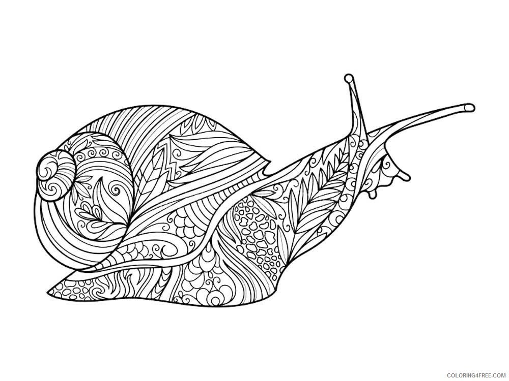 Animal Zentangle Coloring Pages zentangle snail 8 Printable 2020 567 Coloring4free