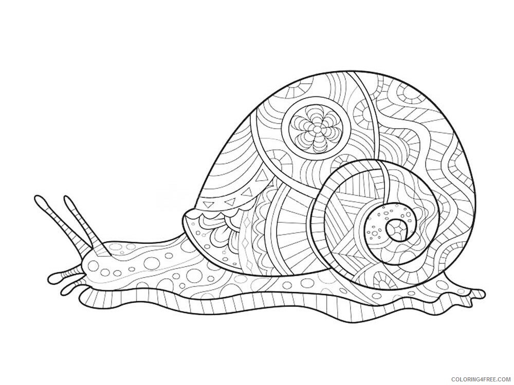 Animal Zentangle Coloring Pages zentangle snail 9 Printable 2020 568 Coloring4free