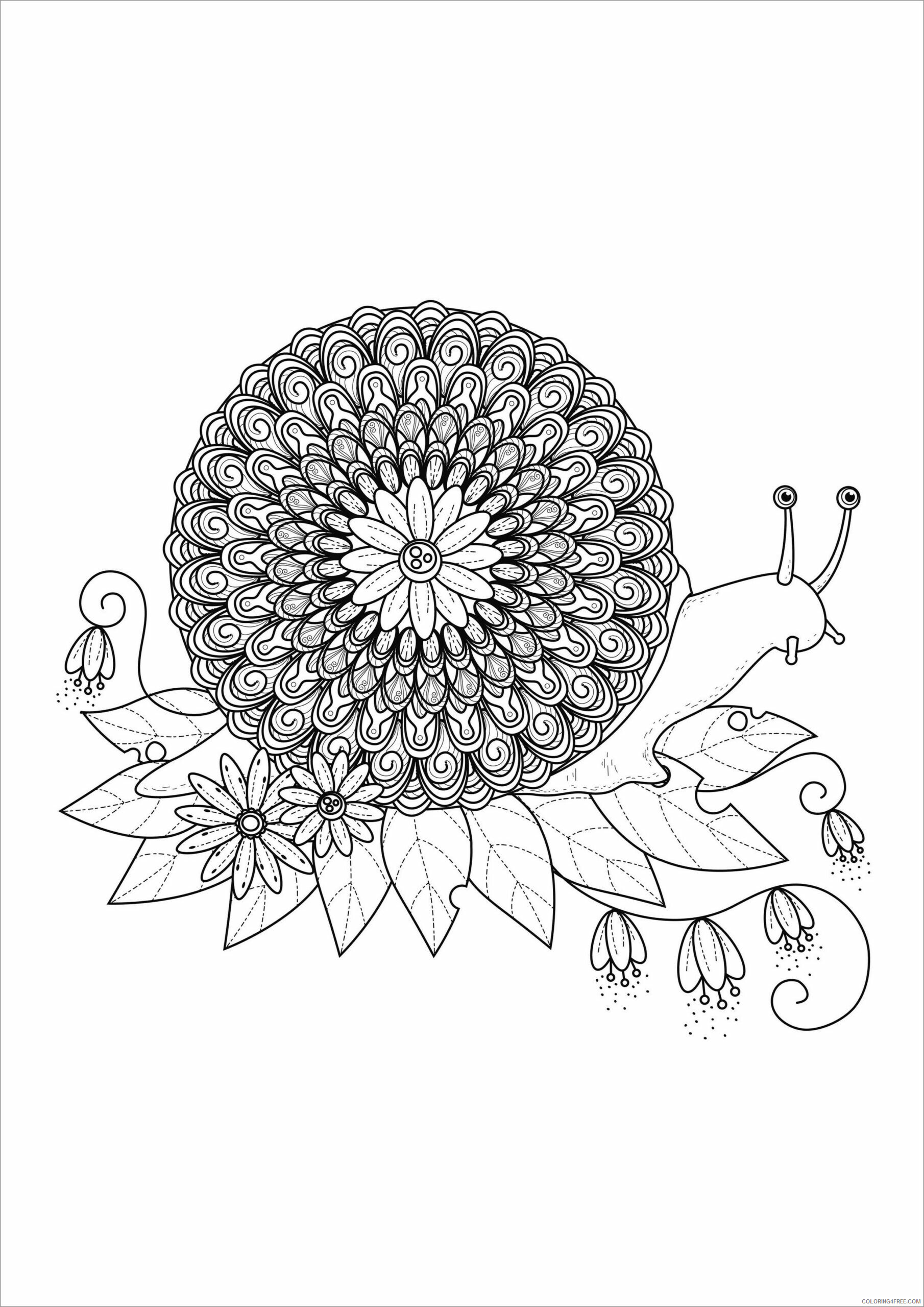 Animal Zentangle Coloring Pages zentangle snail for adult Printable 2020 557 Coloring4free