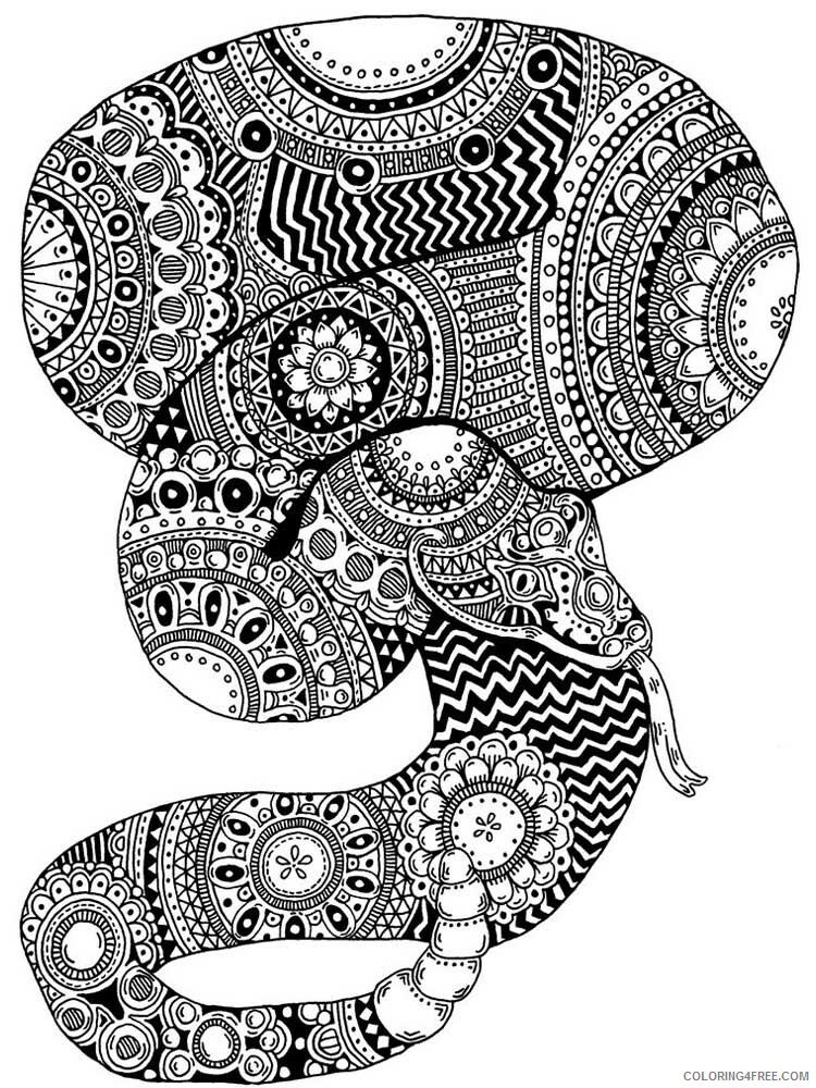 Animal Zentangle Coloring Pages zentangle snake 2 Printable 2020 571 Coloring4free