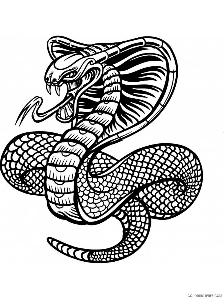 Animal Zentangle Coloring Pages zentangle snake 3 Printable 2020 572 Coloring4free