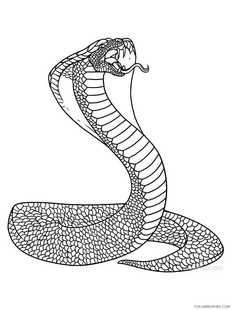 Animal Zentangle Coloring Pages zentangle snake 9 Printable 2020 577 Coloring4free