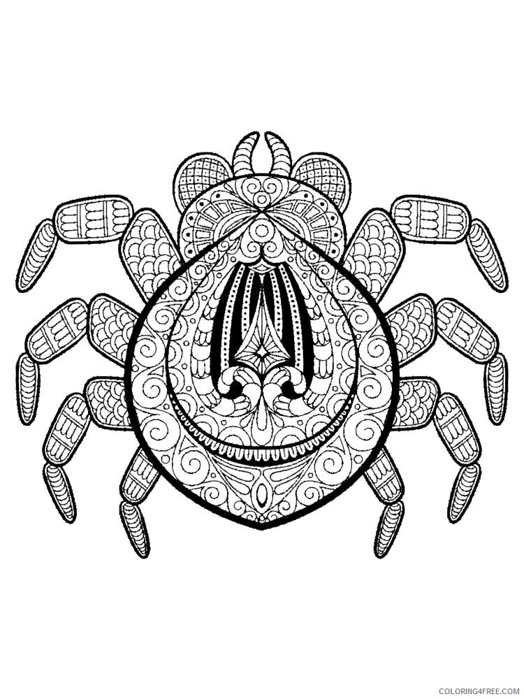 Animal Zentangle Coloring Pages zentangle spider 1 Printable 2020 579 Coloring4free