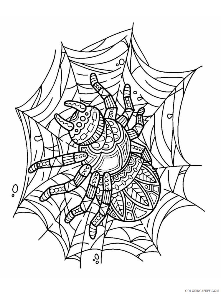 Animal Zentangle Coloring Pages zentangle spider 3 Printable 2020 581 Coloring4free