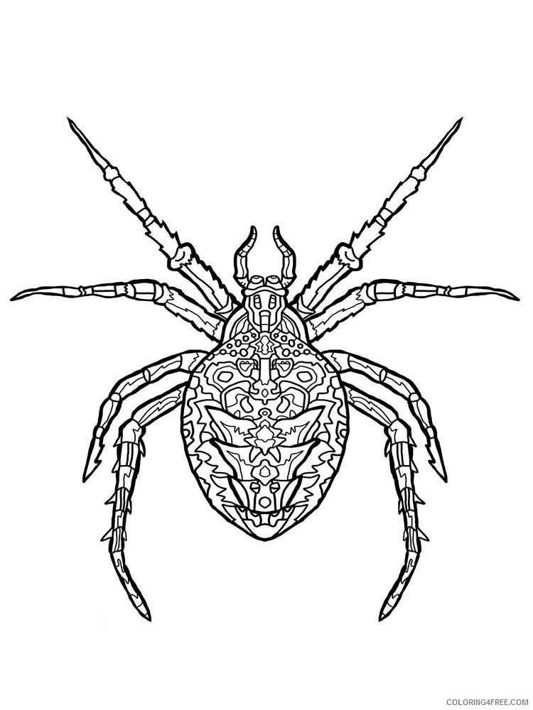 Animal Zentangle Coloring Pages zentangle spider 4 Printable 2020 582 Coloring4free