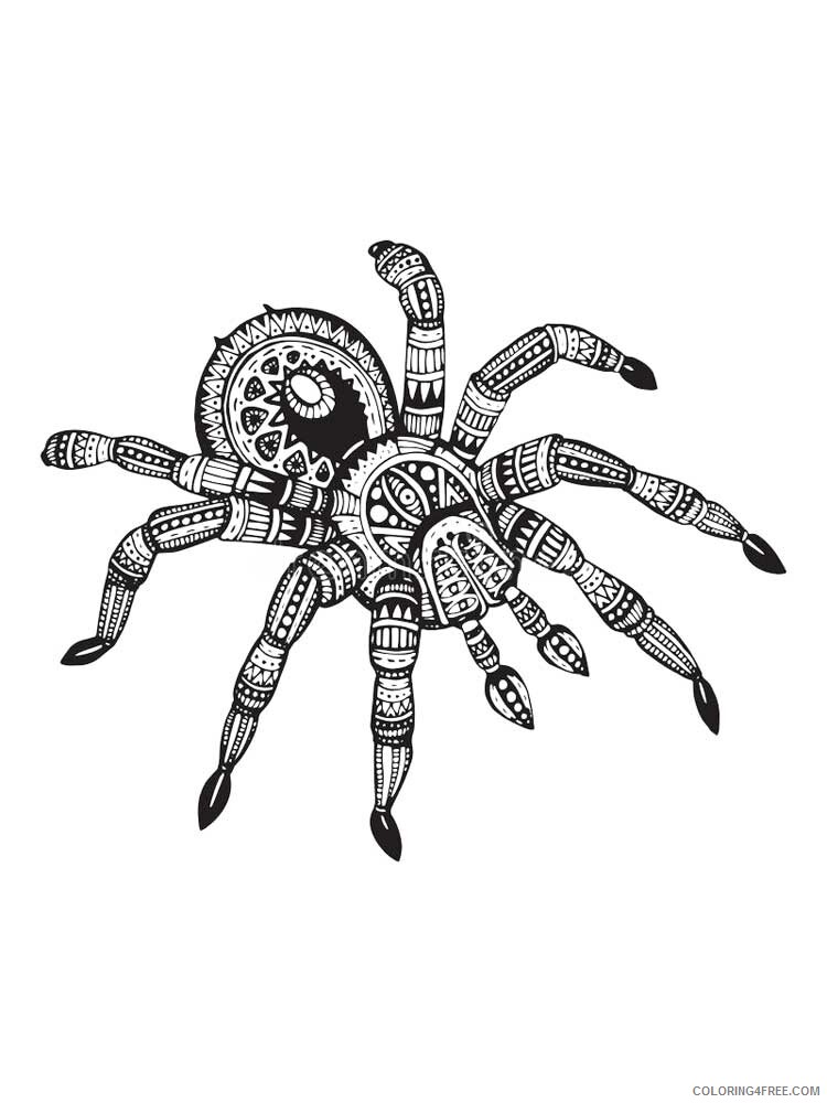 Animal Zentangle Coloring Pages zentangle spider 5 Printable 2020 583 Coloring4free