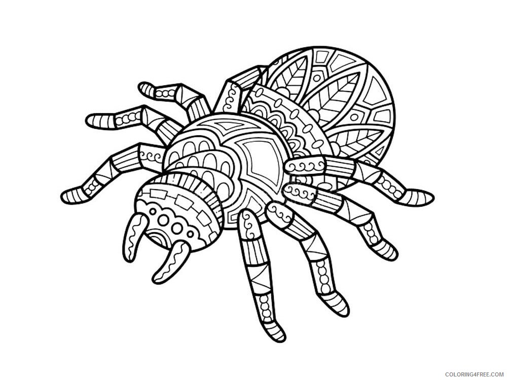 Animal Zentangle Coloring Pages zentangle spider 6 Printable 2020 584 Coloring4free