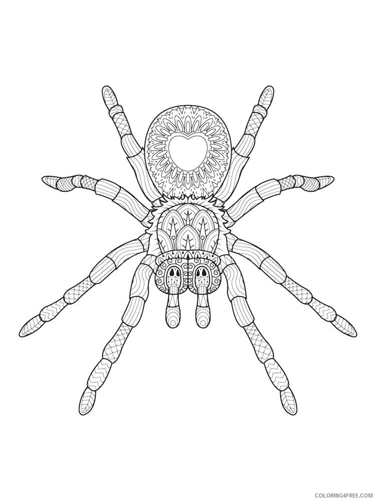 Animal Zentangle Coloring Pages zentangle spider 7 Printable 2020 585 Coloring4free