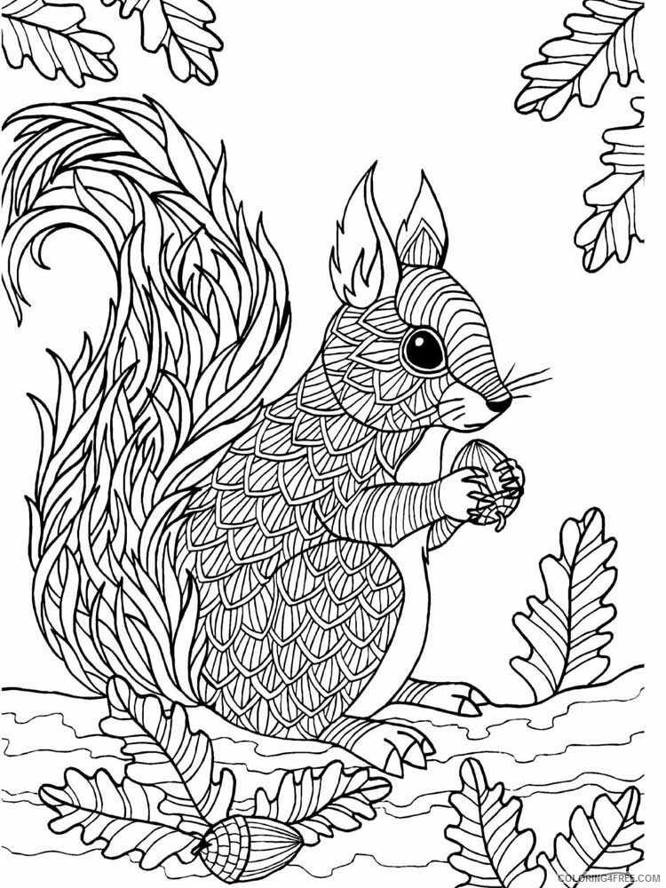 Animal Zentangle Coloring Pages zentangle squirrel 12 Printable 2020 589 Coloring4free