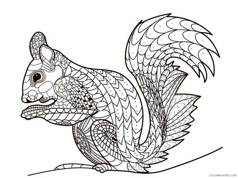 Animal Zentangle Coloring Pages zentangle squirrel 6 Printable 2020 596 Coloring4free